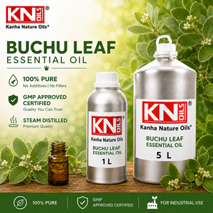 100% Pure Buchu Leaf <b>Essential</b> <b>Oil</b> Bulk Manufacturer Agathosma Betulina Organic Certified Cosmetic Grade Global Exporter Excelle - Product Image 4