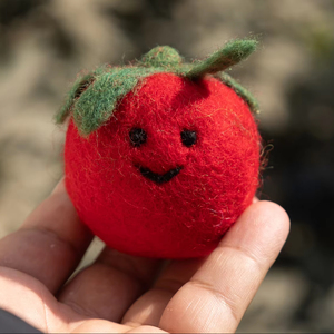 Jouet alimentaire factice en feutre de laine fait main pour tomates, décoration de chambre d'enfant, cadeau éducatif, vente en gros pour enfants - Product Image 1