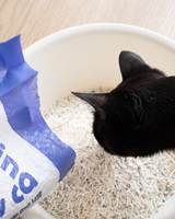 Litière pour chat au tofu 6L, biodégradable, contrôle des odeurs, respectueuse de l'environnement, plusieurs couleurs pour chats