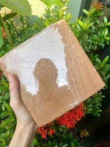 Bloque de Turba de Coco Ecológico y Ligero Eco2go Vietnam, Listo para Usar, para Plantación - Product Image 2