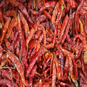 Nouvelle Saison Piment Rouge Indien Entier Séché en Gros pour Importateurs Mondiaux, Industries Agroalimentaires et Épicerie - Product Image 6