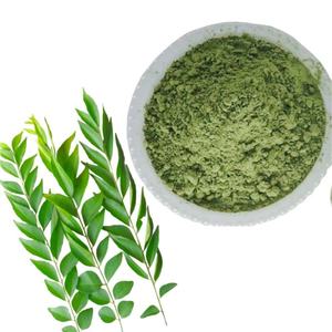 Bulk Quality Freshly Selected Curry Leaf Powder 100% Natural & Pure Food Grade Curry Powder Adds Natural Flavor & Aroma To Food - Product Image 6