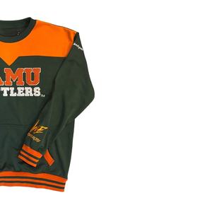 Sweat-shirt en molleton à col rond pour homme avec impression en relief FLORIDA A&M Fraternity, personnalisé, en chenille, taille plus, respirant, polyester/coton - Product Image 2