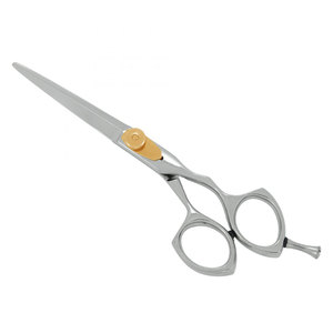 Nouvel arrivage : Ciseaux de coiffure professionnels en acier inoxydable avec lame tranchante, couleur argent, et vis dorée - Product Image 1