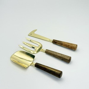 Nouveauté : Ensemble d'outils de jardinage en acier inoxydable, 3 pièces, finition dorée avec manche en bois, pour jardinage intérieur et extérieur - Product Image 4