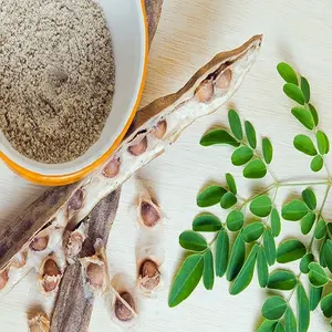 Pemasok Jumlah Besar Bubuk Moringa Oleifera dari India