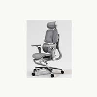 Chaise de bureau ergonomique SAIGU Windrunner en maille avec double soutien lombaire pour les acheteurs du Royaume-Uni