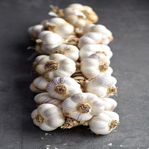 Ail Rouge de Haute Qualité, Ail Blanc Pur 5.0 cm, 6 cm, 5.5 cm, 4.5 cm, 6.0 cm et plus, en Gros, Fournisseur d'Ail - Product Image 3