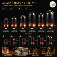 Cloche en verre soufflé G021-32-28-A 45x65 mm avec poignée supérieure en diamant et base dorée à étages sur base en bois transparente