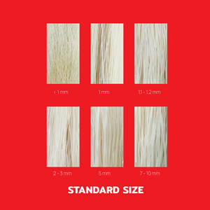 บะหมี่แห้งจากเวียดนามวุ้นเส้นใยคาร์โบไฮเดรตต่ำฟรีตัวอย่างฮาลาล, ISO, HACCP ได้รับการรับรอง - Product Image 6
