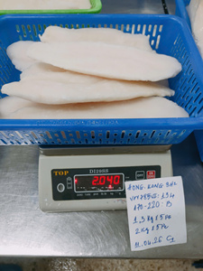 Pangasius Congelado IQF Disponible en Tamaños Personalizados, Filete Premium con Piel de Vietnam, envasado a granel, con acabado brillante, 10 kg/caja - Product Image 5