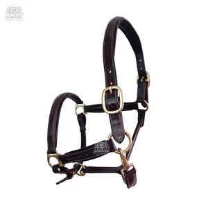 Wholesale Horse Leather Halter with padding and <b>snap</b> <b>hook</b> all brass hardware Custom logo - Product Image 1