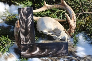 Cuchillo de cuerno de carnero tallado de alta calidad con mango personalizable de estilo náutico al mejor precio - Product Image 2