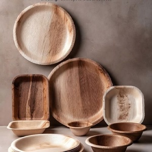 Assiettes écologiques compostables en feuilles de palmier Areca, rondes de 5 pouces, résistantes au congélateur, pour les collations, la restauration rapide, les desserts, les fêtes et les événements - Product Image 1