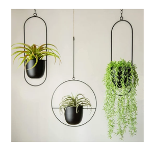 Jardinières suspendues minimalistes en métal noir, design elliptique, pour plantes vertes d'intérieur, pots de fleurs décoratifs modernes - Product Image 2