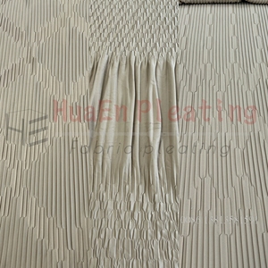 Changzhou HuaEn fabbrica HE-217-T principessa plisea/nastro plissettato Jacquard telaio piatto verticale per la vendita - Product Image 6
