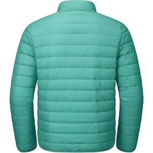 Nuevas Chaquetas Acolchadas Impermeables con Capucha para Hombre, Estilo Urbano, Tendencia Brillante de Primavera, Chaqueta Bomber Gruesa con Bordado Brillante en la Parte Delantera - Product Image 2