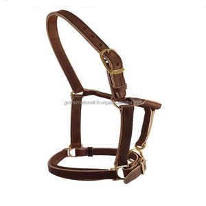 Premium Wholesale Popular Luxurious Elegant Perfect Adjustable Fashionable Padded Leather Horse <b>Halter</b> - Product Image 4