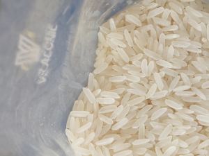 [Culture Hivernale] Riz Jasmin Parfumé du Vietnam 100% Brisure 5Kg 10Kg 25Kg 50Kg Riz OEM Vente en Gros en Vrac Sac PP BOPP PAPE - Product Image 2