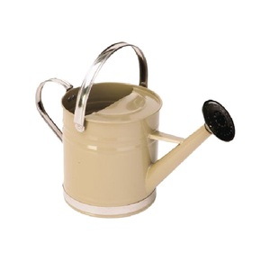 Magnifique arrosoir en fer et métal argenté, fait main, pour plantes, fournitures de jardin, arrosoirs à verser facilement - Product Image 2