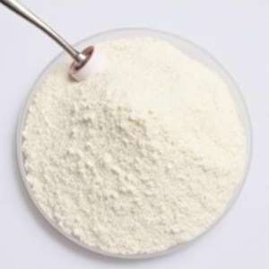 Polvo de extracto de Sophora Japonica de grado alimenticio quercetina dihidrato 98% suplemento en embalaje de tambor - Product Image 2