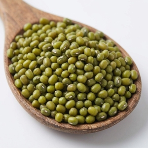 Haricots Mungo Verts Indiens pour le Marché Asiatique – Légumineuses en Vrac pour la Préparation Culinaire – Qualité Export, Qualité Alimentaire - Product Image 1