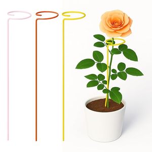 Soporte Circular Metálico para Plantas, Estaca para Plantas Trepadoras, Soporte para Enredaderas de Jardín - Product Image 1