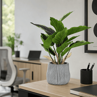 Plante artificielle de bonsaï réaliste résistante aux UV, en matériau TPE, pour la décoration de table intérieure