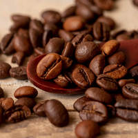 Café Robusta S16 du Vietnam, Grains de Café Torréfiés, Produit en Gros pour Projets d'Emballage de Café au Détail