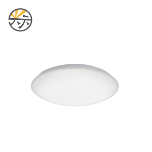 Lámpara de techo premium LED de 10-25 m² con difusor de PC blanco mate esmerilado - Product Image 1