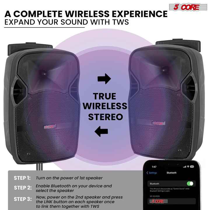 Active Home 10 Inch PA Portable for Bluetooth Party Speaker with 2 Wireless Mics for Karaoke Boombox Use