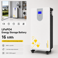 Batería Solar de Pared de 16 kWh LiFePO4 AC Híbrida con BMS para Sistema de Respaldo de Energía ESS para el Hogar