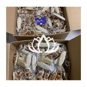 จัดส่งรวดเร็ว 2026 บิสกิตกรุบกรอบเมล็ดถั่ว ขนมขบเคี้ยวธัญพืชสำหรับอาหารเช้าและพลังงานประจำวัน คุณภาพพรีเมียม - Product Image 1