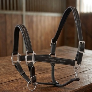 Longe pour cheval en cuir double épaisseur marron Havana, avec surpiqûres décoratives durables et rembourrage confortable en cuir de vache, ferrures en laiton. - Product Image 4