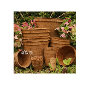 Pot en fibre de coco écologique biodégradable pour plantation au sol, idéal pour les pépinières (vente en gros) - Product Image 1