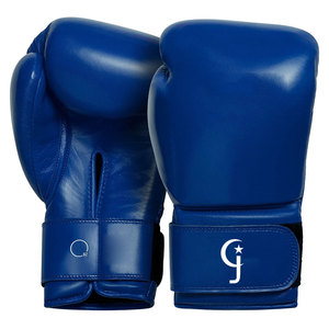 Gants de boxe Performance Fit, gants de boxe athlétiques avec fermeture sécurisée et confort durable - Product Image 1