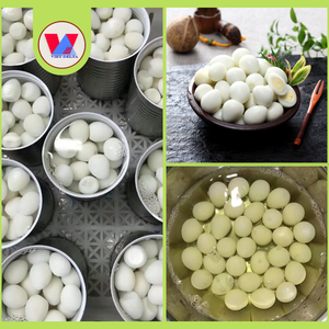 HUEVOS DE CODORNIZ ENLATADOS ECOLÓGICOS DE 15 oz EN SALMURAS, HUEVOS DE CODORNIZ ENTREGOS Y PELADOS LISTOS PARA COMER, IDEALES PARA HOTPOT, RAMEN, SOPA, BAOZI Y SNACKS - Product Image 2