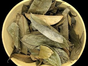 Premium Organic Graviola Leaves Dried Soursop Leaf Tea Bulk Wholesale Manufacturer Vietnam - Product Image 3