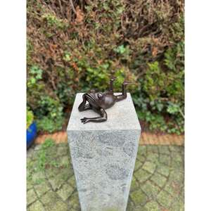 Ornement et sculpture décorative de grenouille couchée en bronze pour jardin, faible MOQ, prix usine - Product Image 1