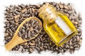 Organic 100% Pure Castor <b>Oil</b> Cold Pressed Seed <b>Essential</b> <b>Oil</b> Yellow for Cosmetic Hair and Skin Care All Skin Types - Product Image 3
