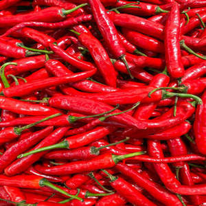 Piment rouge séché 100 % pur de qualité supérieure, entier, séché à l'air (AD), sans tige, norme d'exportation, épices et herbes simples, Gujarat - Product Image 1