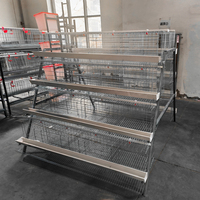 Cage à poules de type A économique pour l'élevage avicole