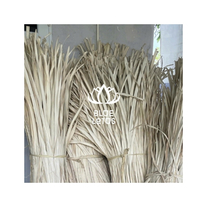 MEILLEUR CHOIX Feuilles de palmier Corypha Lecomtei du Vietnam, matière première pour le tissage artisanal et la production d'objets décoratifs, vente en gros - Product Image 1