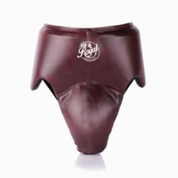 Protection abdominale et inguinale de dernière génération pour les arts martiaux, le Muay Thai, le Kickboxing et l'entraînement MMA