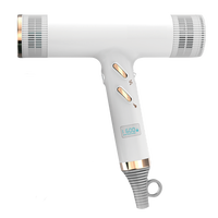 Sèche-cheveux électrique sans brosse à grande vitesse 113000 tr/min sèche-cheveux fort sèche-cheveux à flux d'air fort ionique négatif