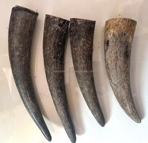 Authentic White Buffalo Horn Block for Handle Crafting Smooth <b>Texture</b> Gava Horn from Indian Manufacturers - Product Image 5