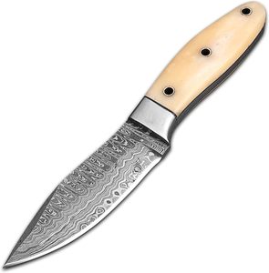 Cuchillo para desollar Acero de Damasco de alto carbono Afilado, duradero y resistente al óxido Envío directo Cuero Tang completo - Product Image 1