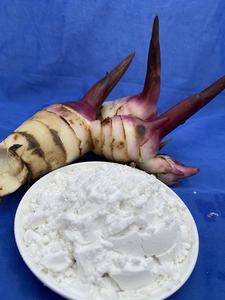 Amidon de marante de qualité supérieure, farine blanche en poudre, type naturel, provenant du Vietnam - Product Image 3