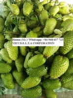 Vietnam Premium Zuurzak - Hoge Kwaliteit, Natuurlijk Zoet, Competitieve Prijs, Rijk aan Vitamine C // Mr. Tom