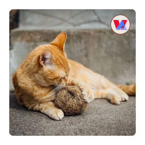 HOT SELLING Organic Coir Chew Ball Coconut Fiber Pet <b>Toy</b> Biodegradable Husk Sphere For Dog <b>Cat</b> <b>Interactive</b> Play Stress Relief - Product Image 5